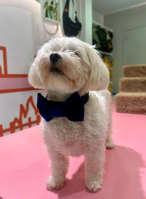 Dark blue velvet strik