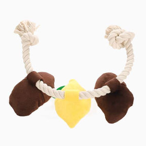 Ostriche
