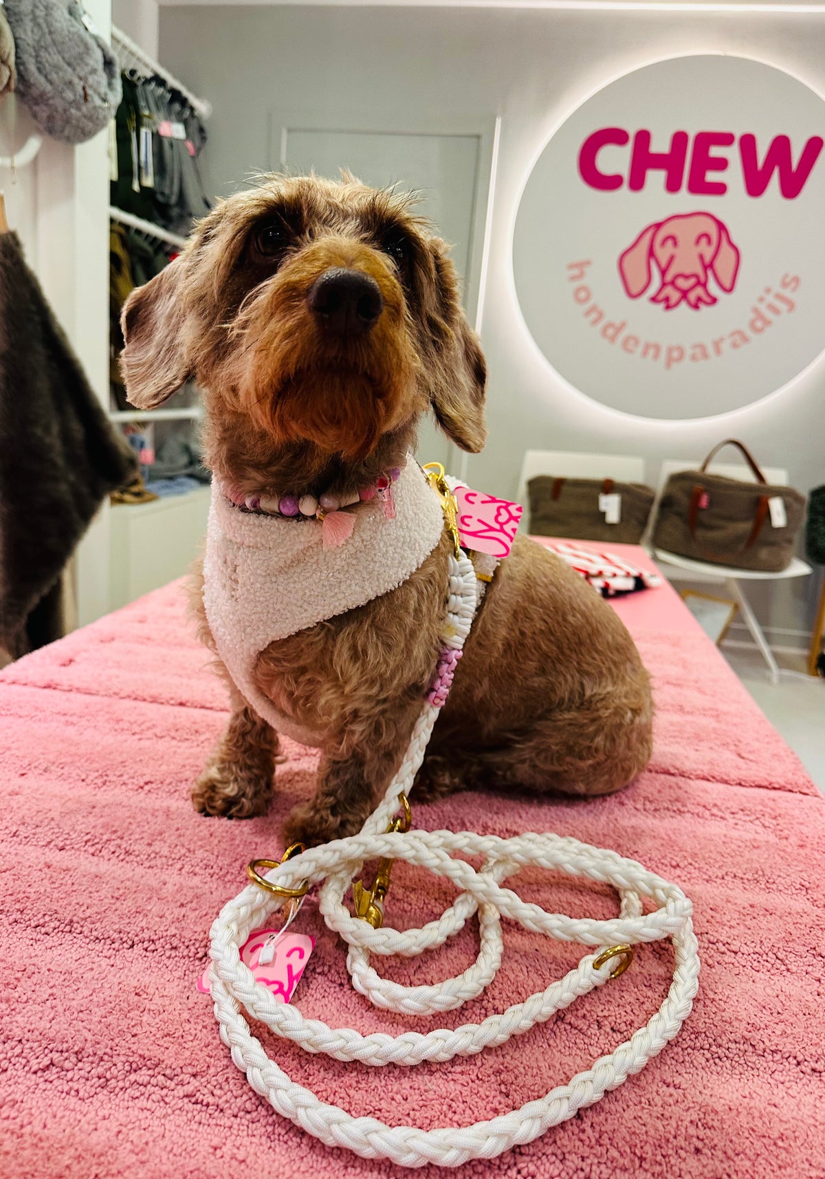 Autumn Collection - Soft Harness Teddy White Pepper