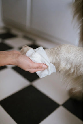 Chamomile Paw Wipes