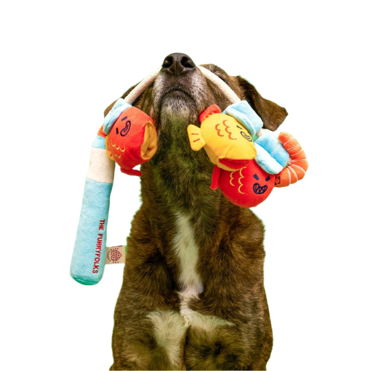 Fishing toy