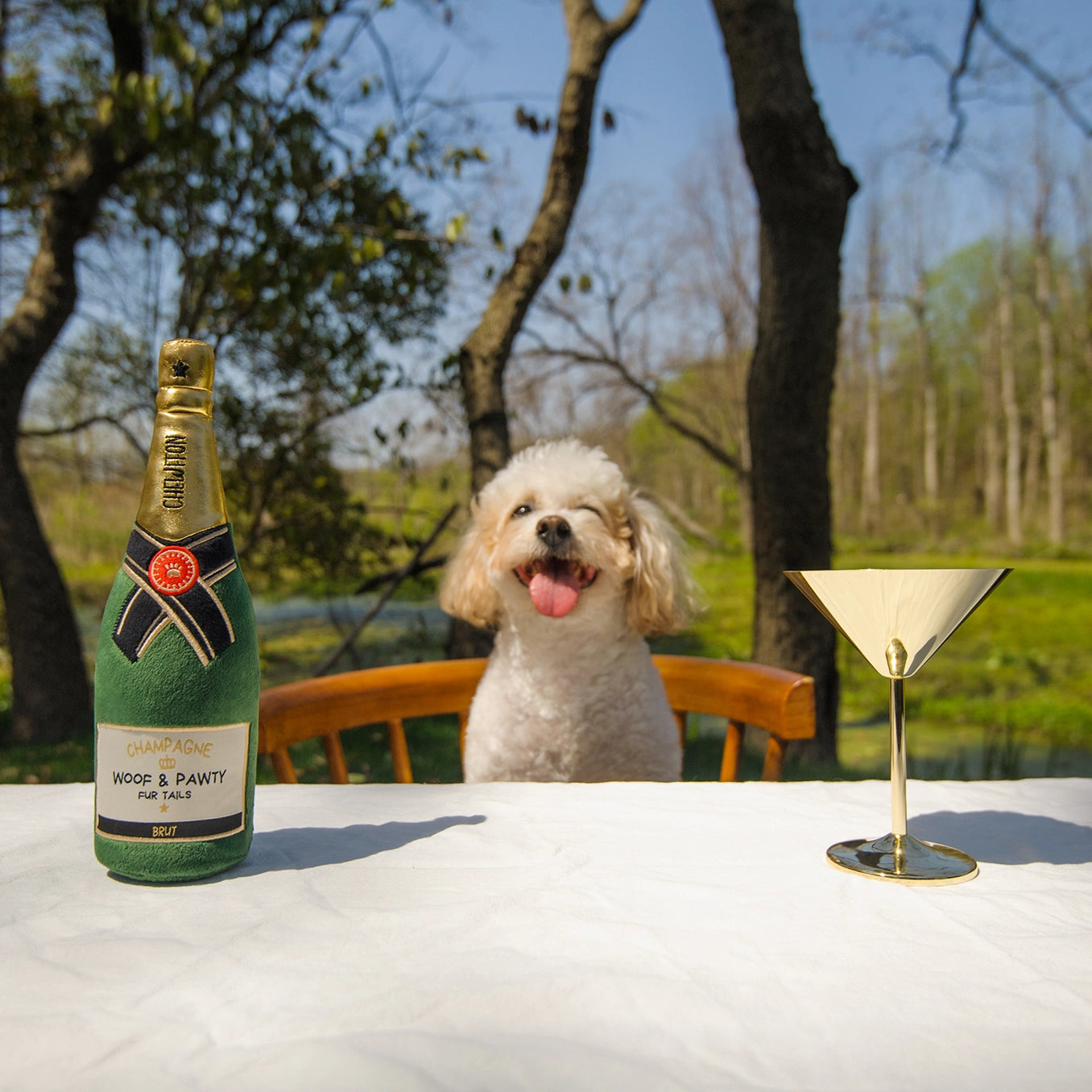 Woof & Pawty Champagne