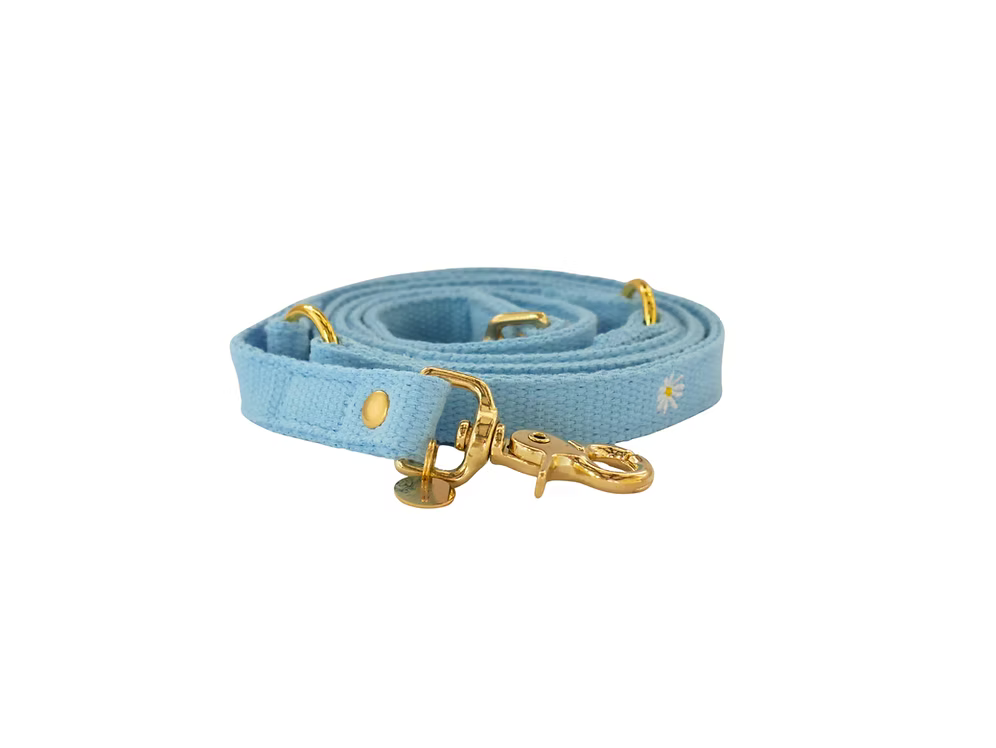 Daisy Blue leiband