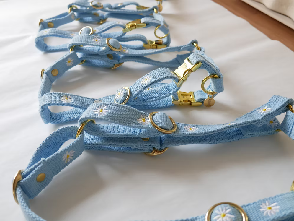 Daisy Blue leiband
