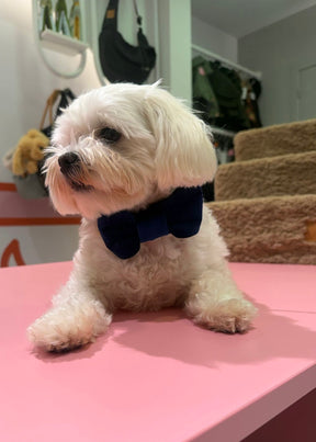 Dark blue velvet strik