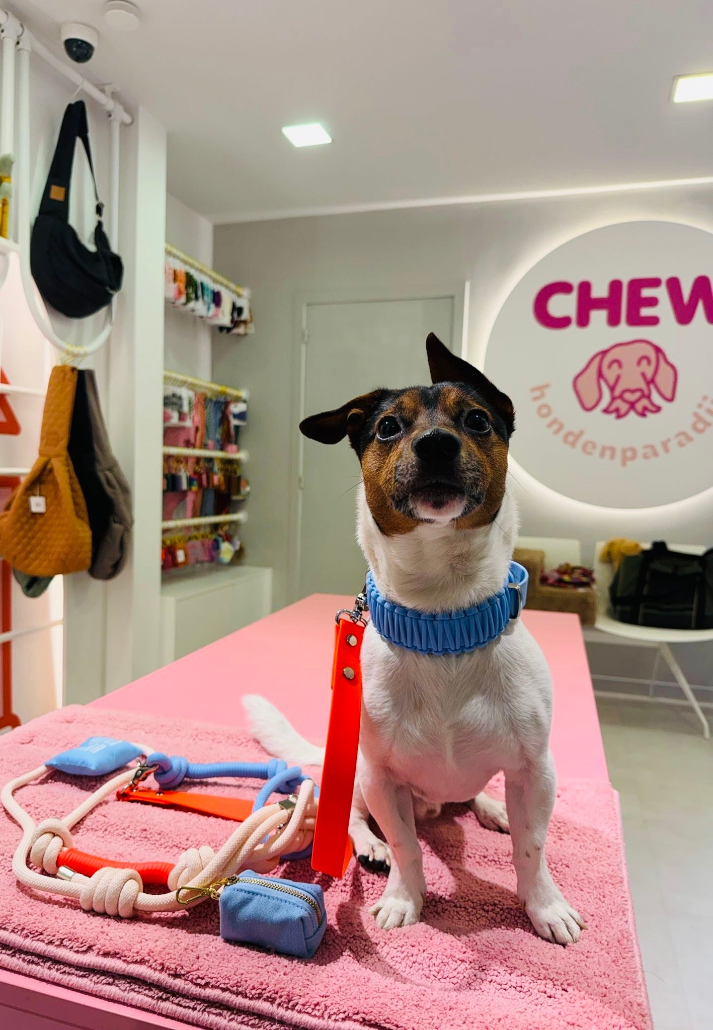 Blue Cambray poepzakhouder