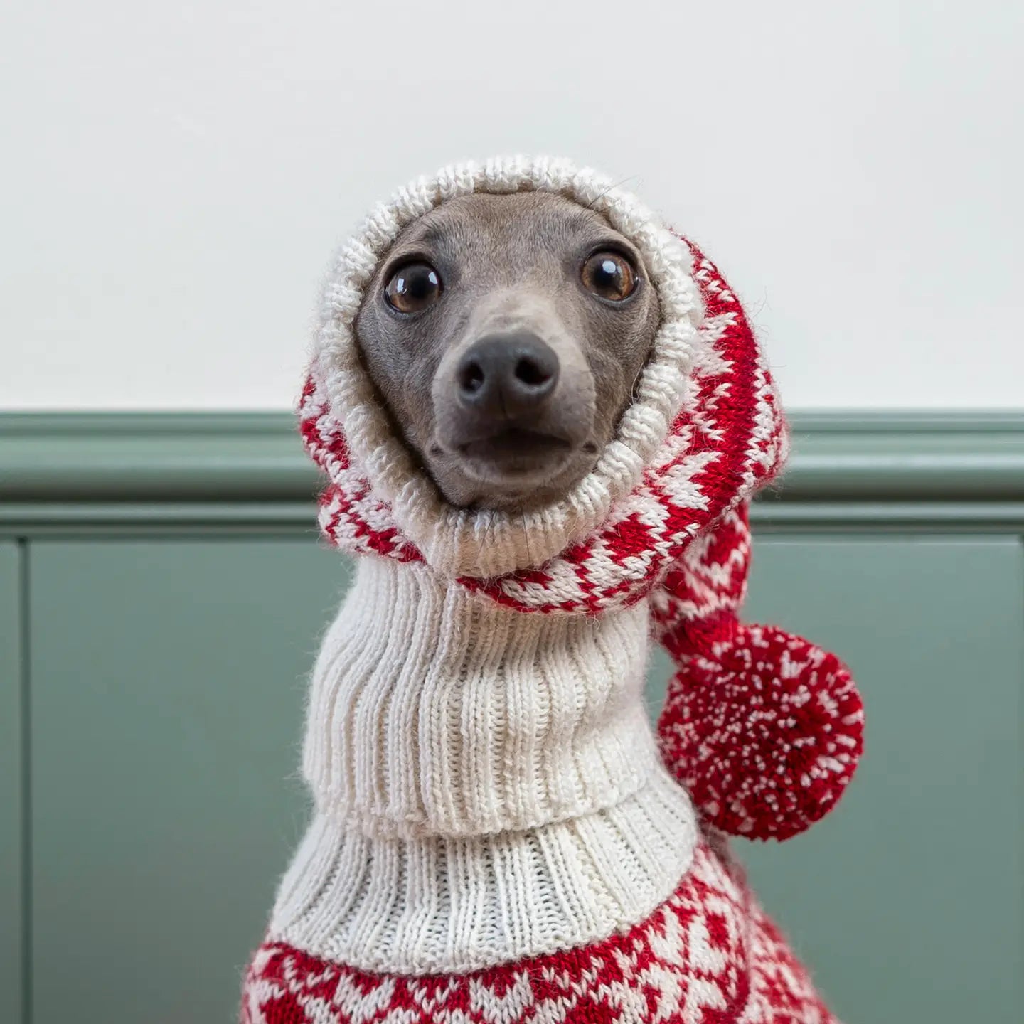 Christmas snowflake dog hat