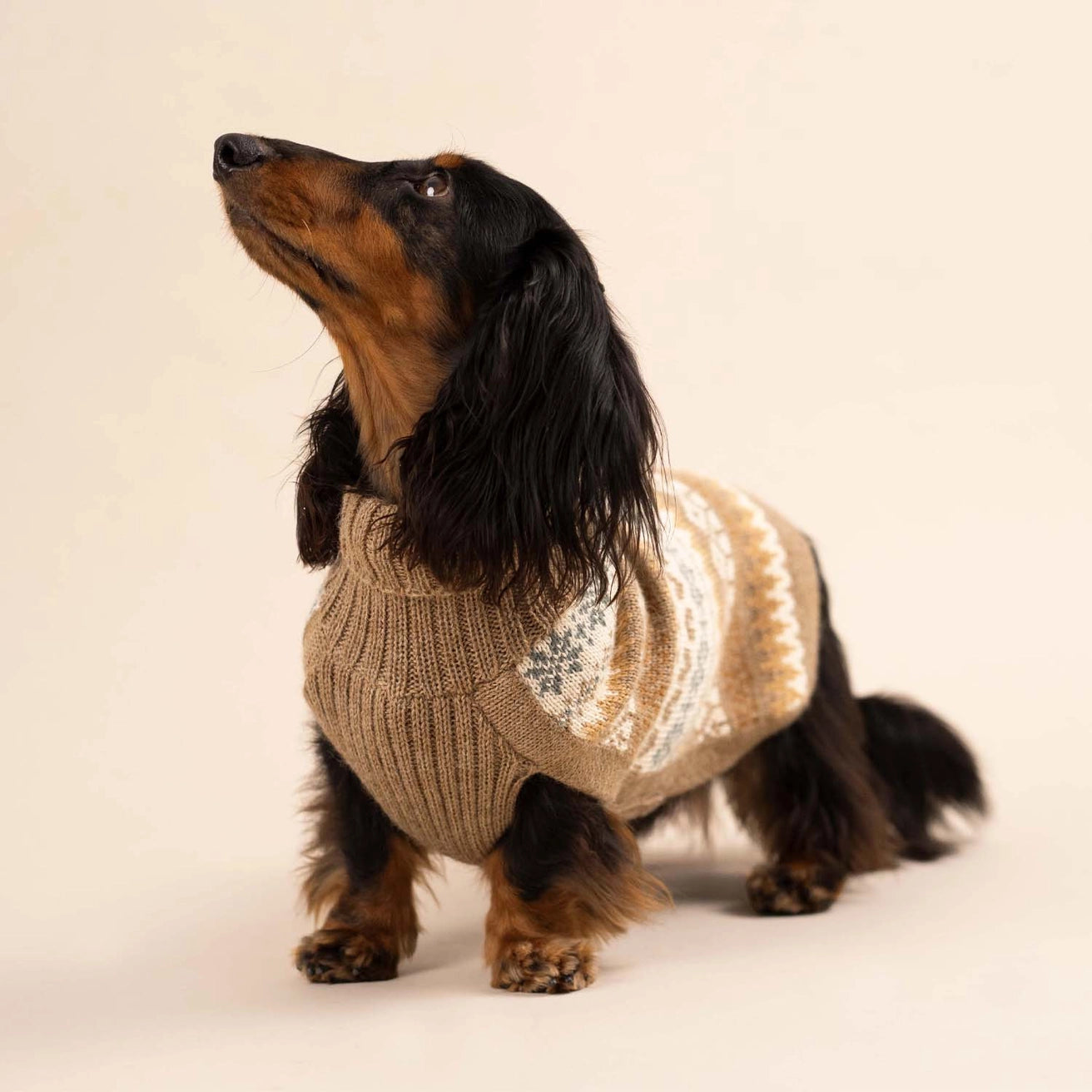 Cozy autumn Alpaca pull
