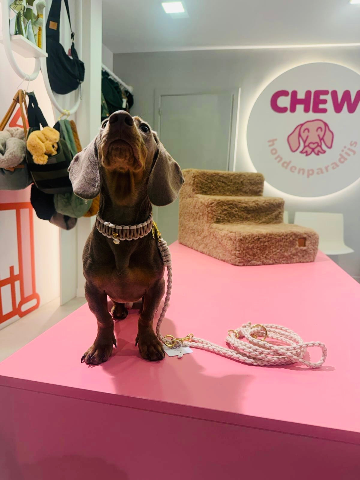 Riviera Collection - Antibes halsband