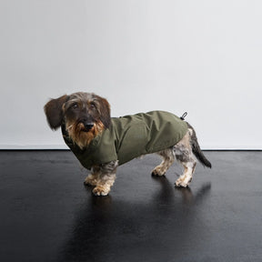Raincoat Dublin Dark Olive - a Dachshund special
