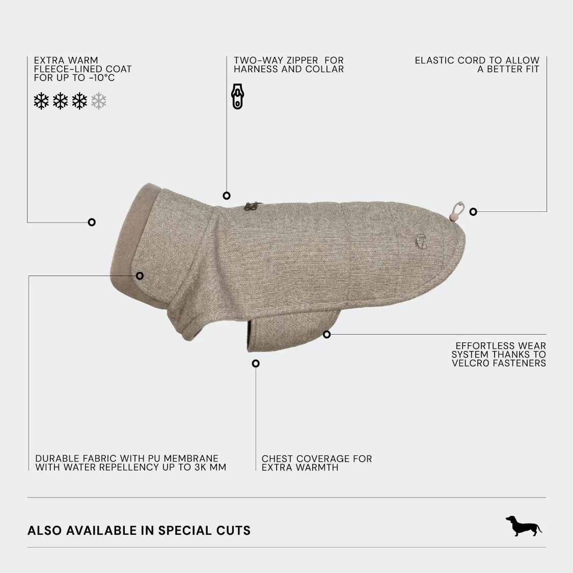 Brooklyn Tweed beige - Dachshund Edition