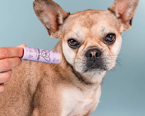 Wrinkle carer stick