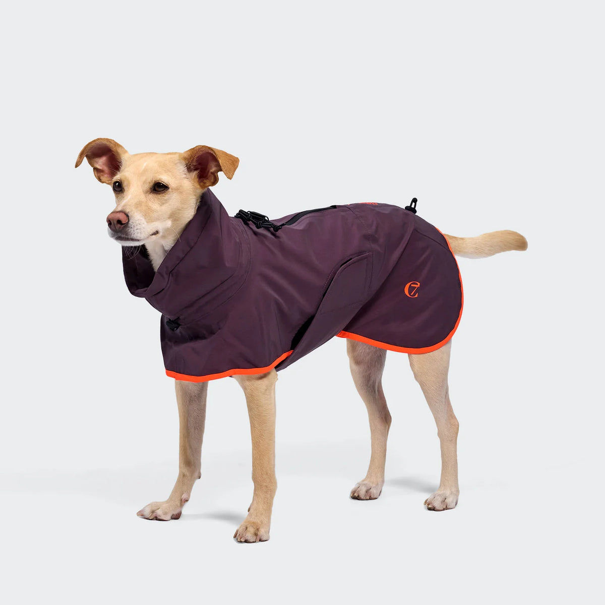 Dog Raincoat aubergine