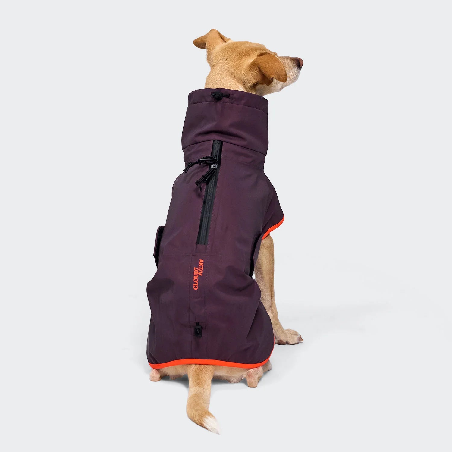 Imperméable pour chien aubergine