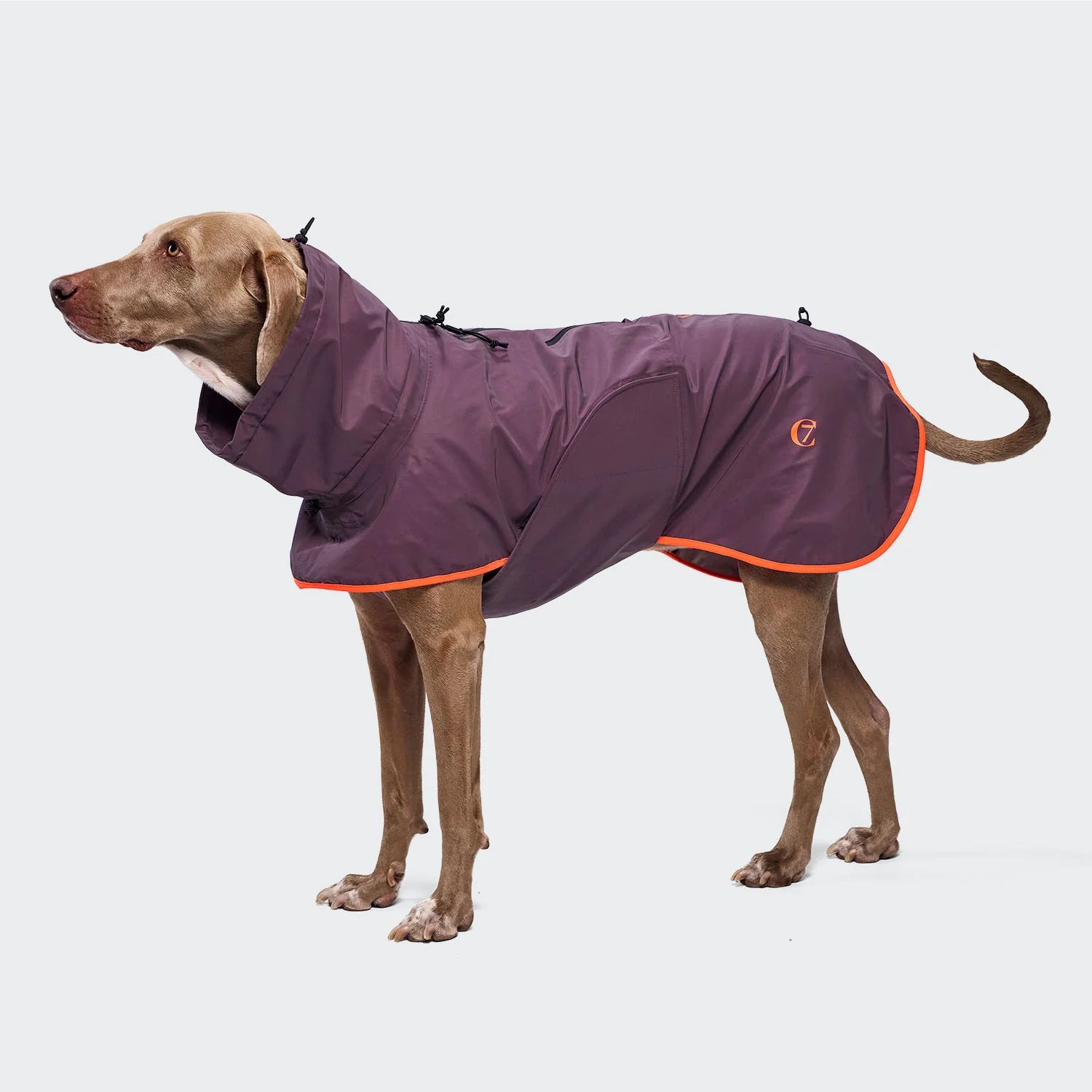 Imperméable pour chien aubergine
