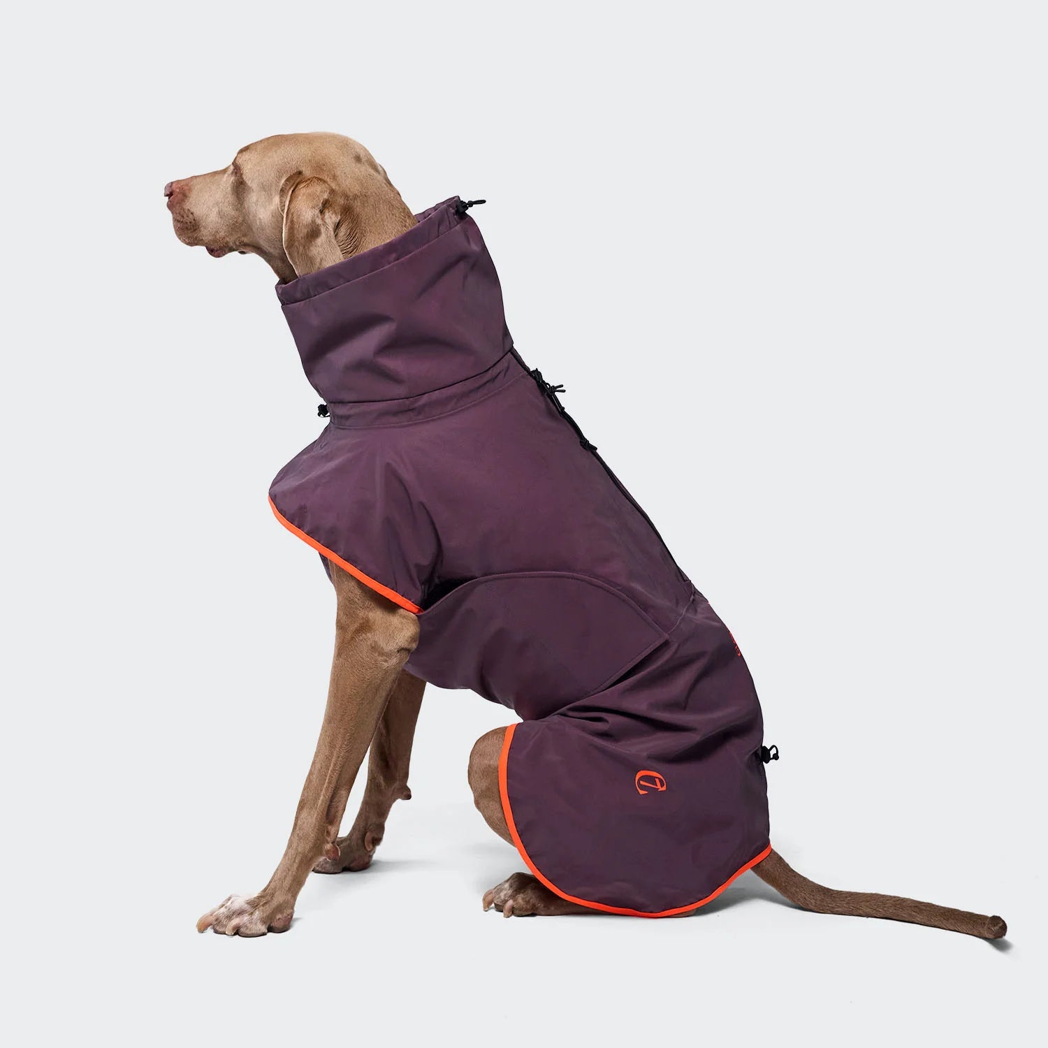 Imperméable pour chien aubergine
