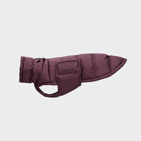 Alaska Dark Eggplant - Dachshund Edition