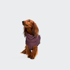 Alaska Dark Eggplant - Dachshund Edition