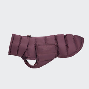 Alaska Dark Eggplant
