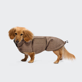 Brooklyn Houndstooth - Dachshund Edition