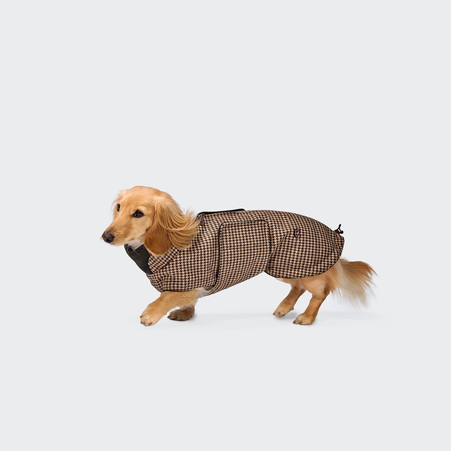 Brooklyn Houndstooth - Dachshund Edition