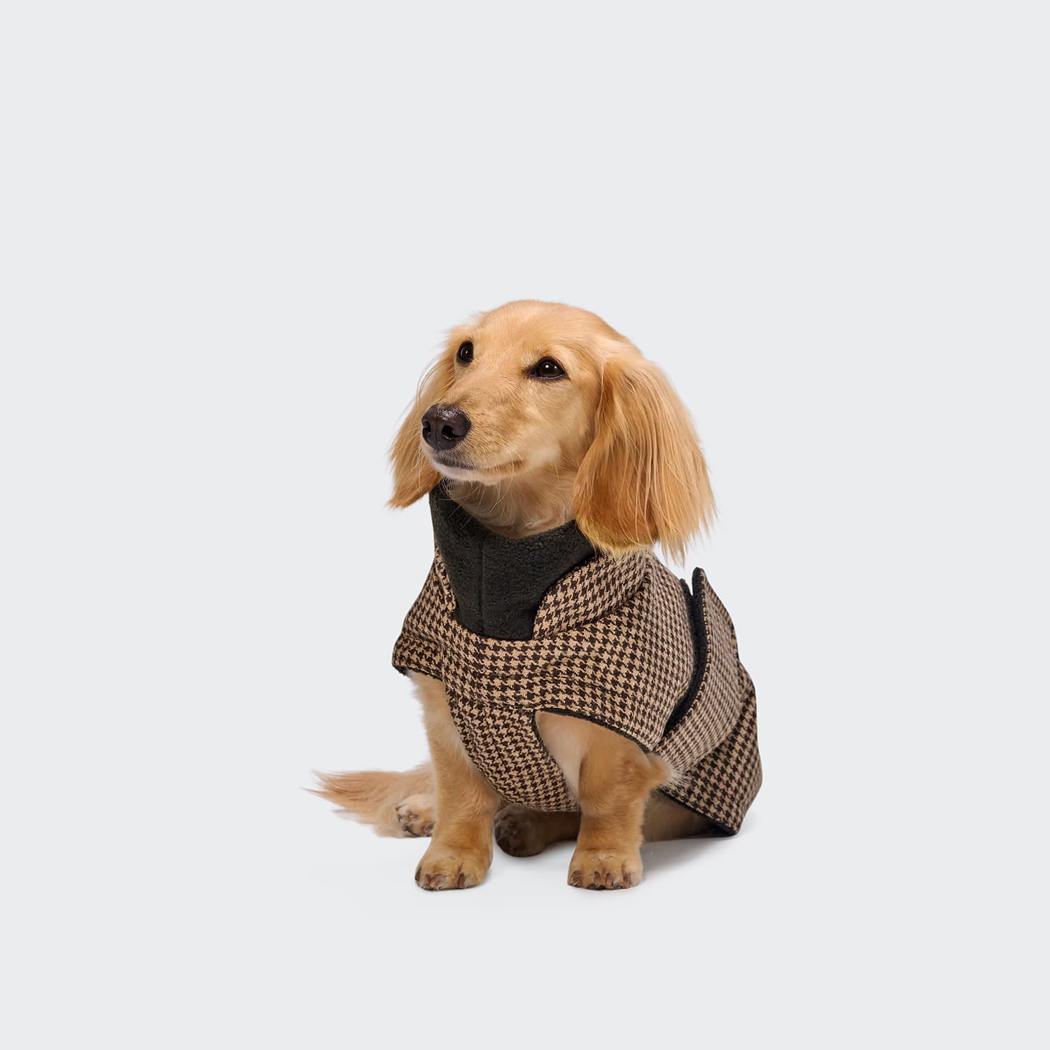 Brooklyn Houndstooth - Dachshund Edition