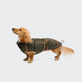 Brooklyn Flannel Tartan Green - Dachshund Edition