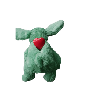 Roger The Cute Rabbit - Green