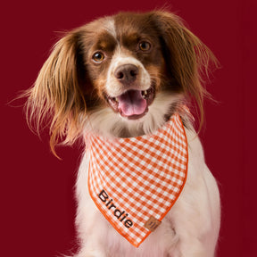 Gingham Cider bandana