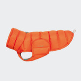 Alaska Burnt Orange