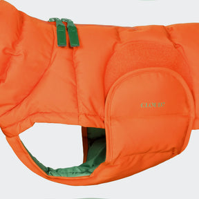 Alaska Burnt Orange - Dachshund Special
