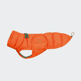 Alaska Burnt Orange - Dachshund Special