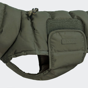 Alaska Olive - Dachshund Special