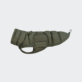 Alaska Olive - Dachshund Special