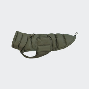 Alaska Olive - Dachshund Special