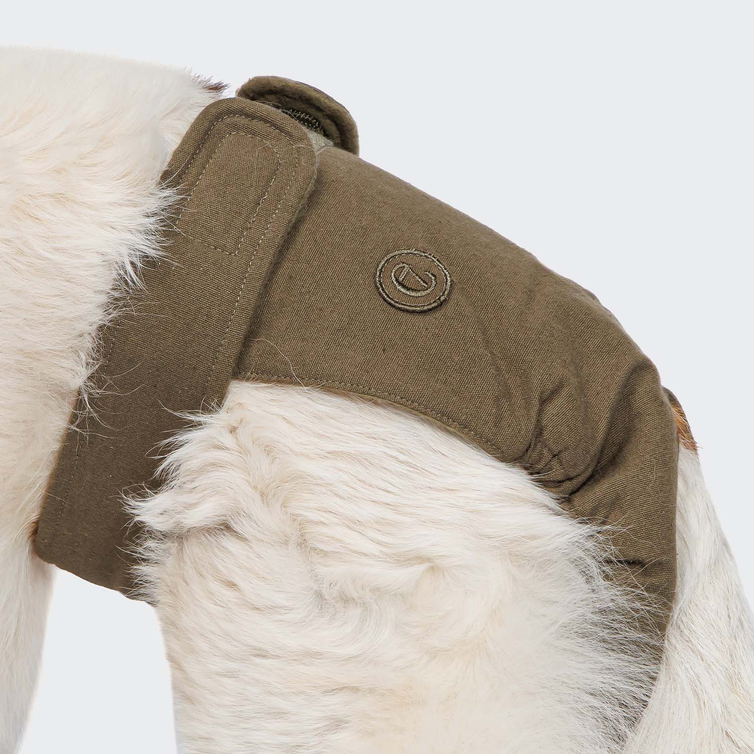 Loopheidshondenbroekje Olive