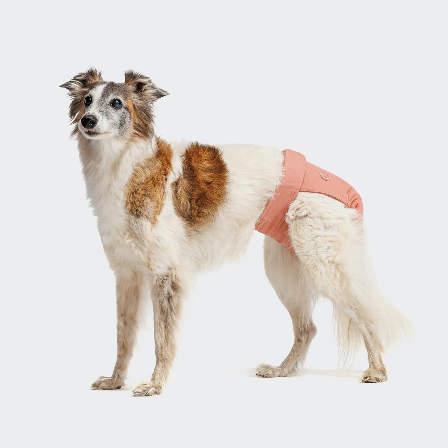 Pantaloni per cani da corsa Rosa