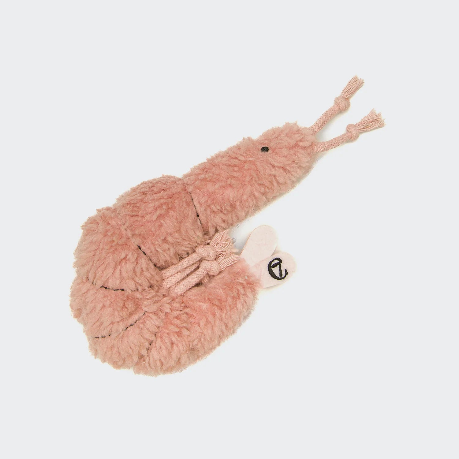 Shrimp Suzi