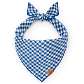 Gingham blue bandana