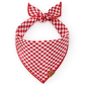 Gingham red bandana