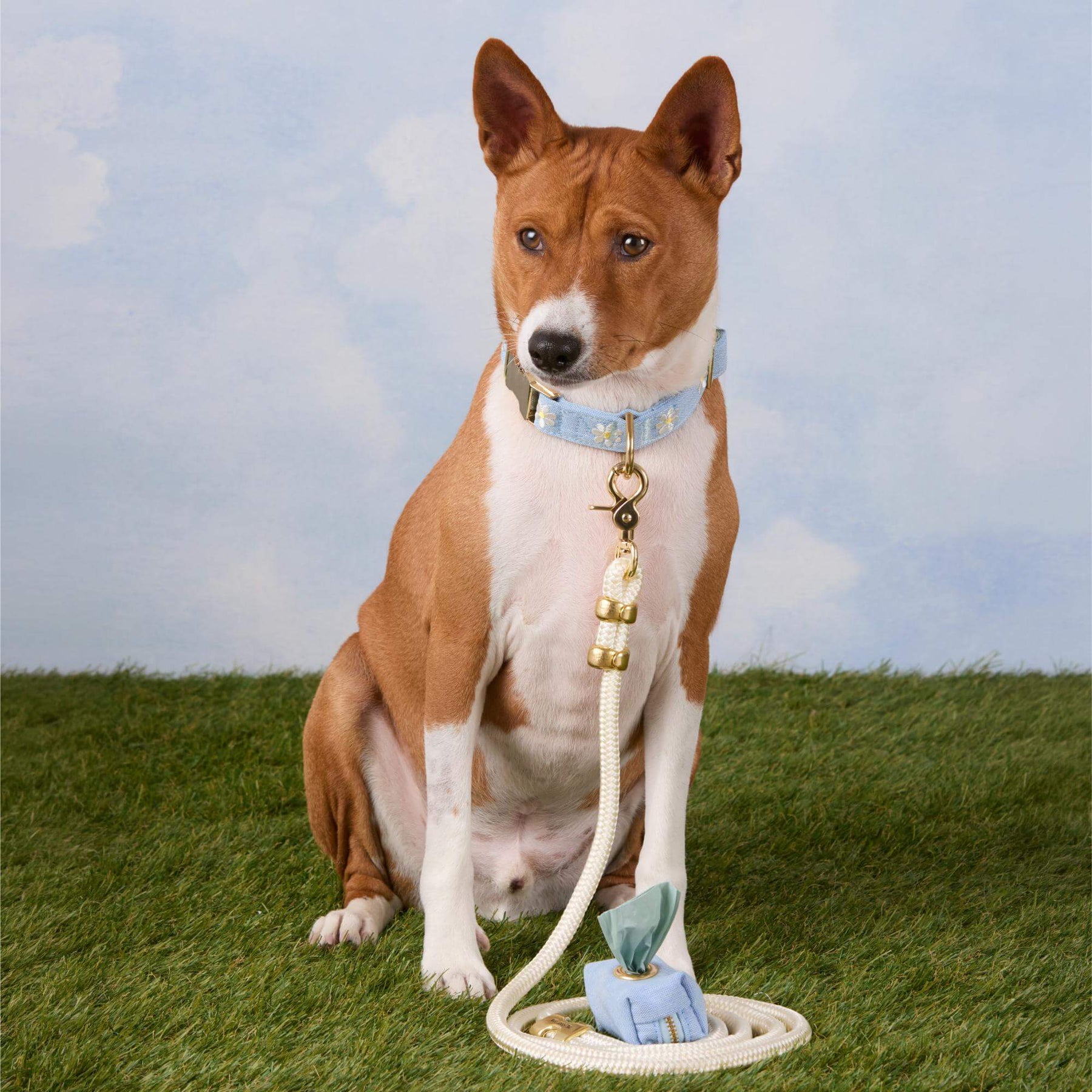 Blue Cambray poepzakhouder