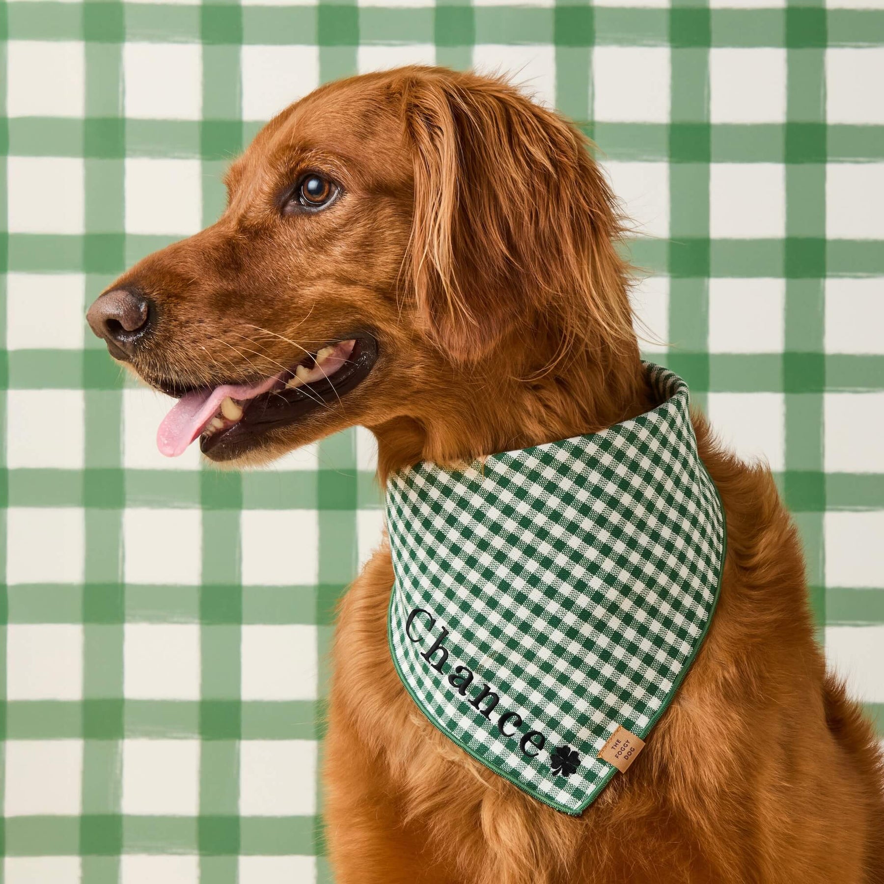 Gingham green bandana