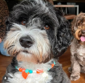 Anti-teken kralenband - Papaya