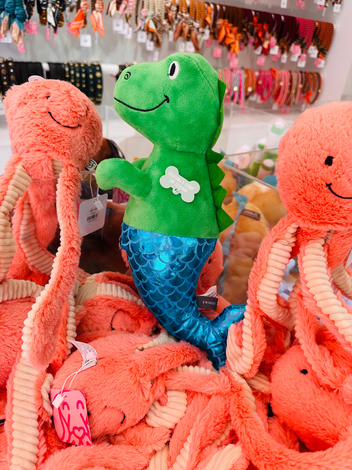 Under the sea Rex