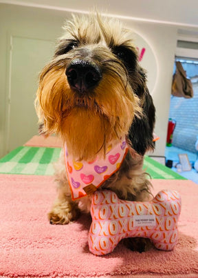 Candy Hearts bandana