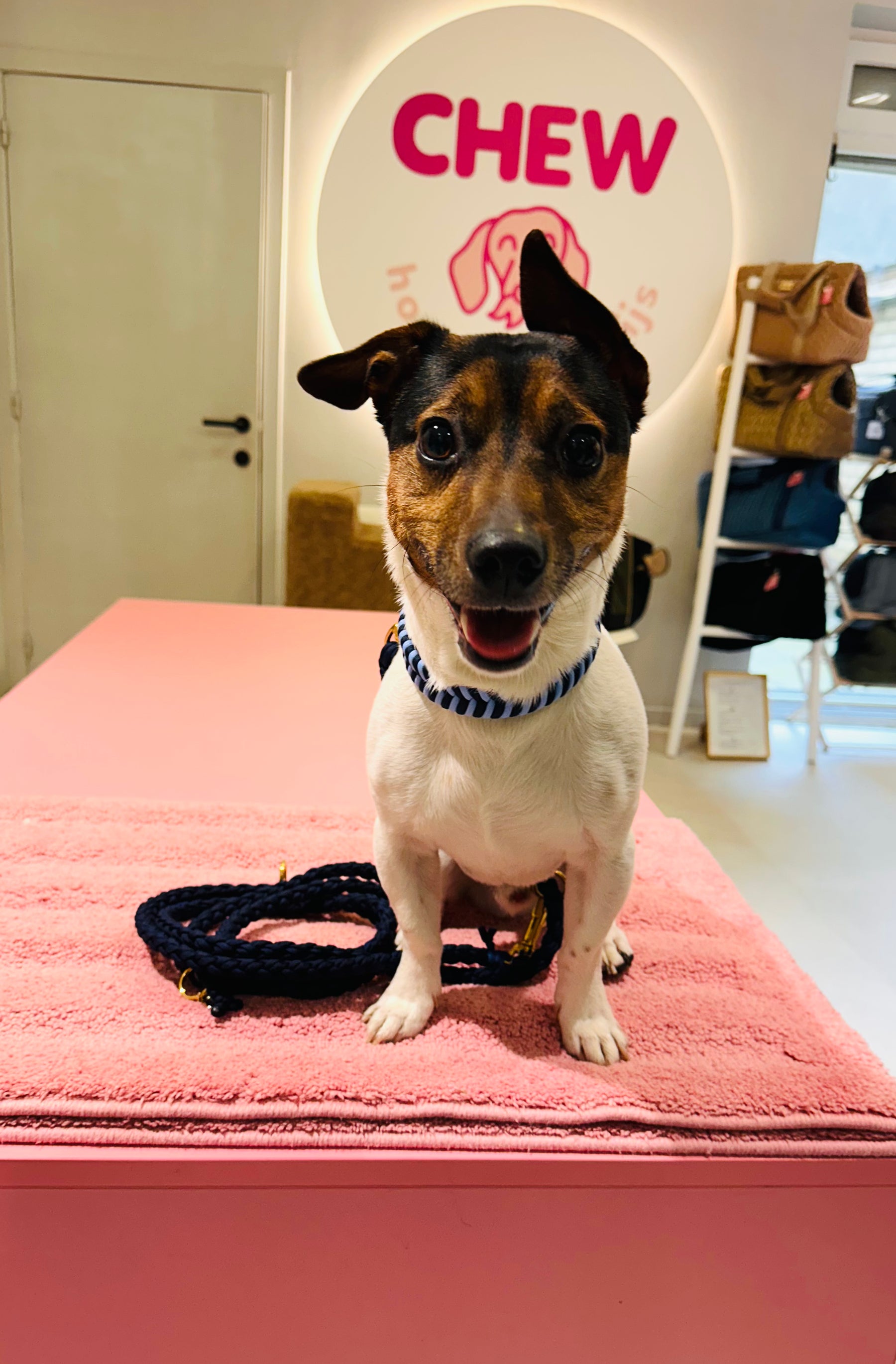 Riviera Collection - Nice halsband