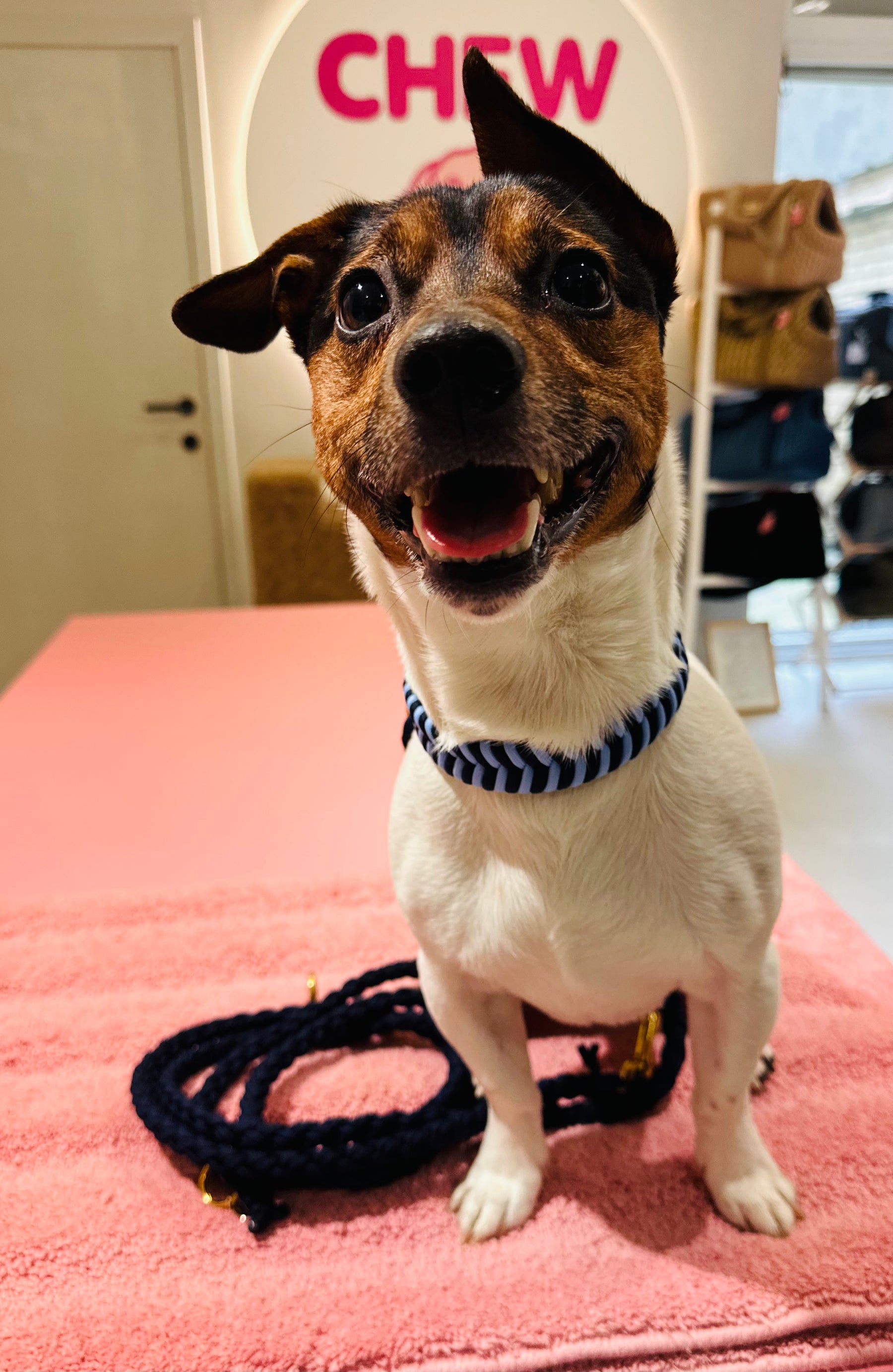 Riviera Collection - Nice halsband