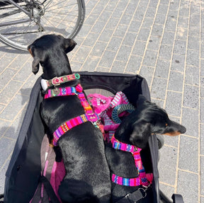 Laavida neon pink harnas
