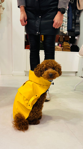 Imperméable jaune