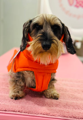 Alaska Burnt Orange - Dachshund Special
